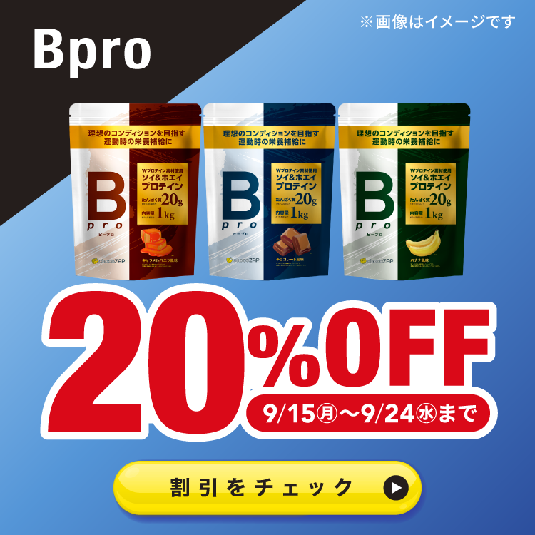 ライザッププロテイン 13点セット チョコ、マンゴー ライザッププロテイン 13点セット チョコ、マンゴー