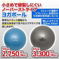 ノーバーストヨガボール |チョコザップ ノーバーストヨガボール |チョコザップ